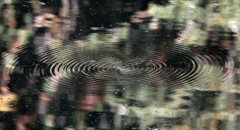 IMG_3042a1